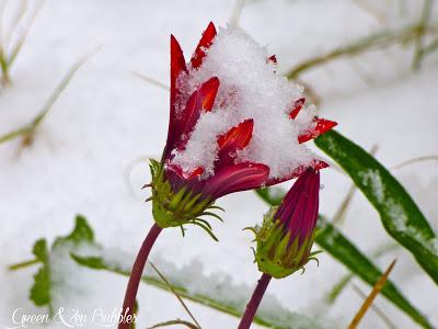 Jour de neige