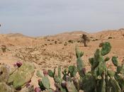 Réchauffement climatique pourquoi c’est facile croire