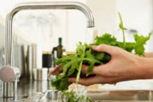 INTOXICATIONS ALIMENTAIRES: Eviter la salade toute prête pour éviter la Salmonelle – Applied and Environmental Microbiology