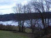 Carnet Inventaire soir dans haies