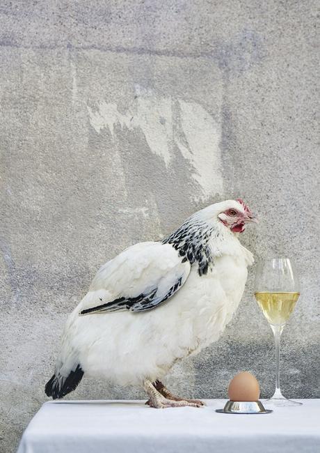 Krug Egg Bucket, le seau à Champagne des fêtes de fin d’année krug-egg