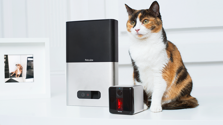 Idée cadeau High Tech N° 8 - Petcube la caméra qui amuse les animaux