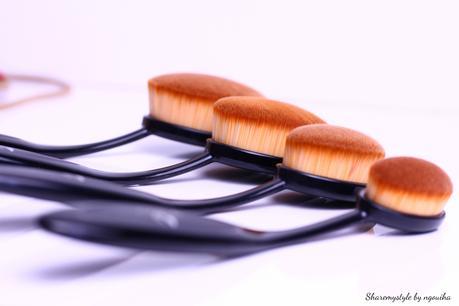 PINCEAUX BROSSES – MON AVIS