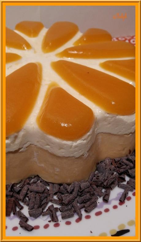 Entremet Chocolat blanc et Abricot Entremet Chocolat blanc et Abricot