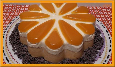 Entremet Chocolat blanc et Abricot Entremet Chocolat blanc et Abricot