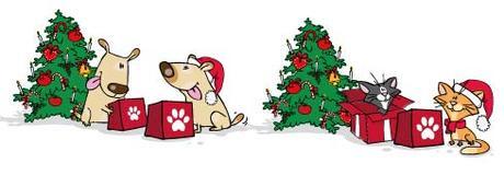 Les animaux fêtent Noël, voici des idées de cadeaux!