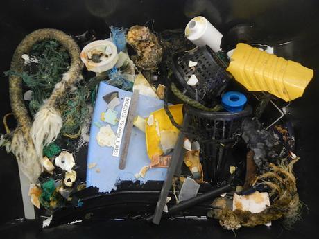 Face à la marée de plastique dans les océans, les parades se préparent