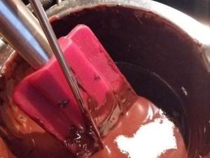 Bûche au chocolat et son Insert au crémeux de fruits de la passion Les embouts