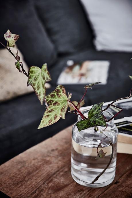 Visite deco petit appartement en longueur style nordique