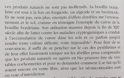 La crucifixion de Saint Pierre