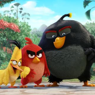 angry-birds-6