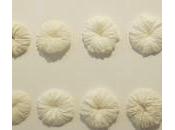 E.Nicot, A.M. Kelecom, Source