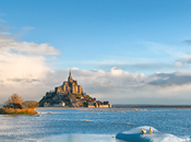 Ours Polaires Mont Saint-Michel