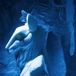 EVASION : Icehotel 365