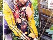 mangeoires dans "Jardin d'ici"