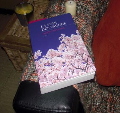 La voix des vagues de Jackie Copleton