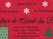 Calendrier l’Avent Blogueurs #04/12 blog Renard Bavard
