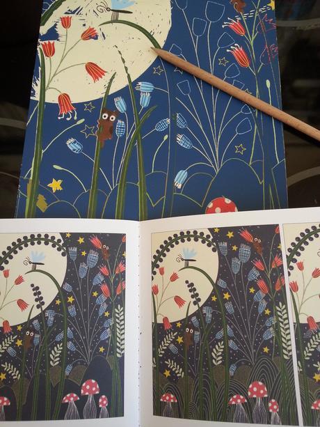 Jouer et découvrir # 47 – Cartes à gratter -  Pleine Lune Djeco (Dès 7 ans)