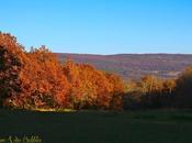 Instantanés prairie