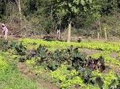 Amérique latine. Introduction l’extrême occident