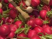 brunch bruno doucet régalade saint-honoré gros coup coeur