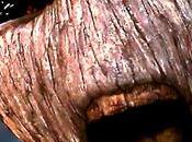 Cinéma gardiens Galaxie nouvelle bande annonce