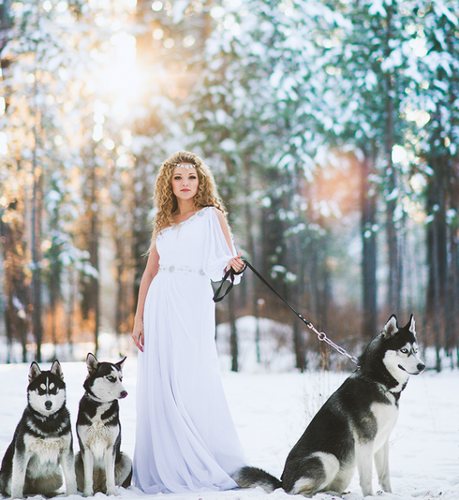 mariée hiver avec chiens.png