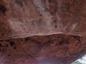 point important magnésie)