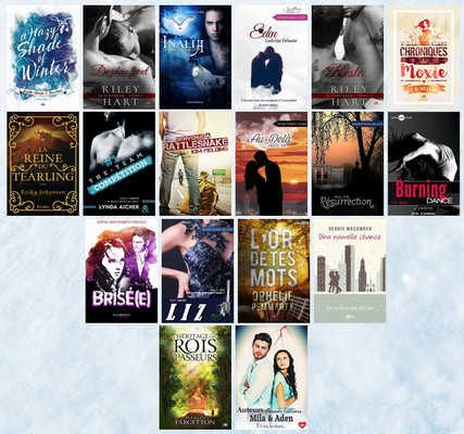 Bilan du Mois ~ Novembre 2016 bilan