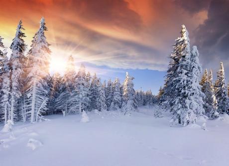 winter-photos-1-768x559