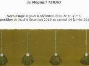 Galerie MOISAN exposition hommes mûrs Mégumi TERAO Décembre Janvier 2017