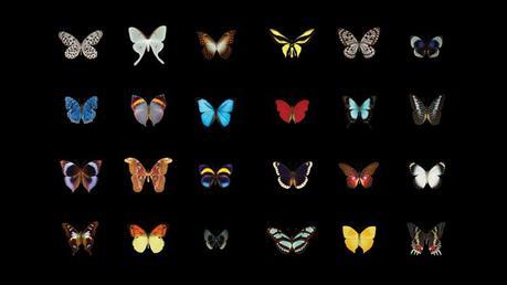 Walli: des superbes fonds d’écran HD artistiques