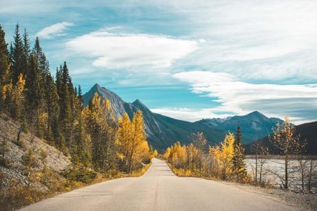 Road Trip dans l’Ouest Canadien – Part 3 : Clearwater x Jasper