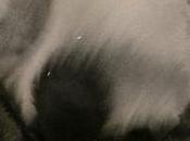 Common Black America Again @@@@½