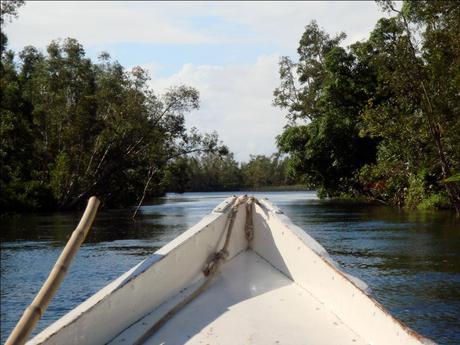 Une partie concernée pour sauvegarder et valoriser le Canal des Pangalanes