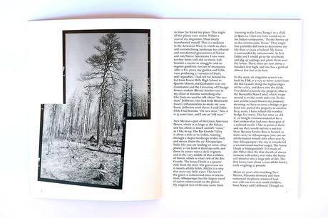 DANNY LYON – BURN ZONE & THE STORY OF SAM