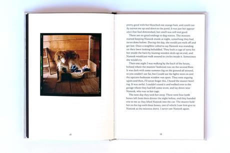 DANNY LYON – BURN ZONE & THE STORY OF SAM