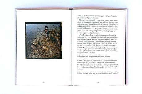 DANNY LYON – BURN ZONE & THE STORY OF SAM