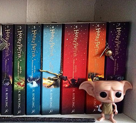 En attendant Noël... Plus que 15 jour! Le ou les plus beaux livres de ma bibliothèque