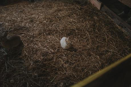 La féerie des illuminations de Noël 2016