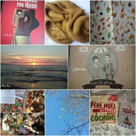 Récapitulatif - Coups de coeur + Favoris Instagram - Novembre 2016