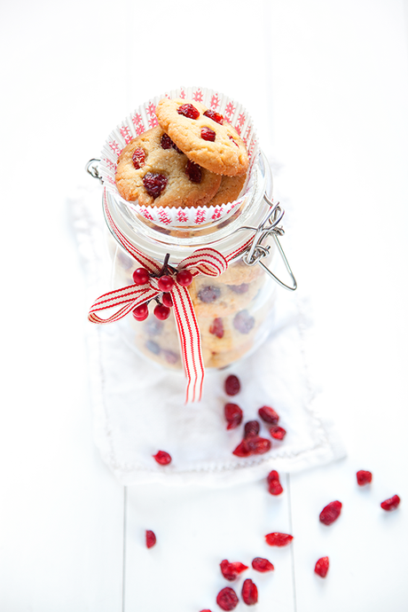 Tests culinaires pour repas de Fêtes - vegan (2016)