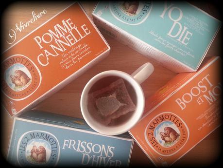 Tests culinaires pour repas de Fêtes - vegan (2016)