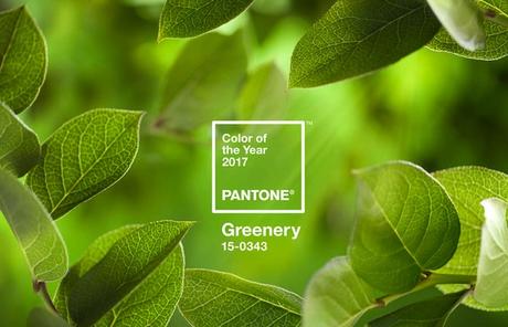 pantonegrenery20170-900x581