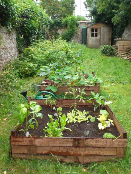 Ma Terre , Écologie bio et développement durable : materre  Guide sur