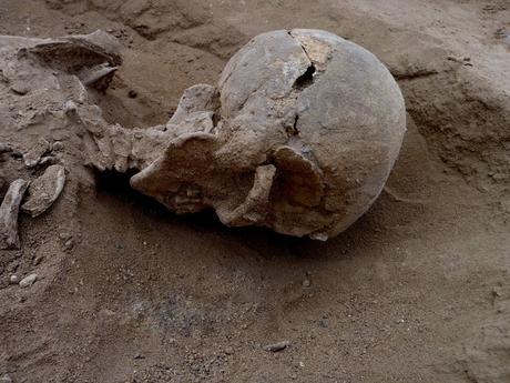 Violemment matraqué, cet homme est l'une des victimes retrouvées par les archéologues − Marta Mirazon Lahr (et Fabio Lahr)