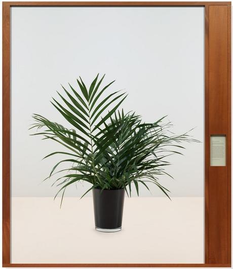 Taryn Simon, Comprehensive Cooperation Agreement, Caracas, Venezuela, October 30, 2000; 2015