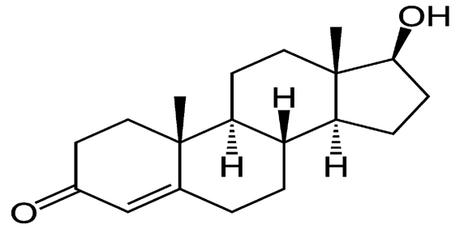 Structure chimique de la testostérone