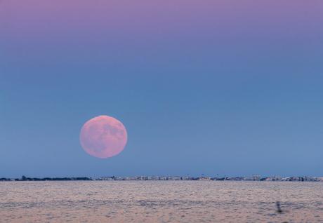 Les plus beaux rendez-vous astronomiques en novembre Les plus beaux rendez-vous astronomiques en novembre