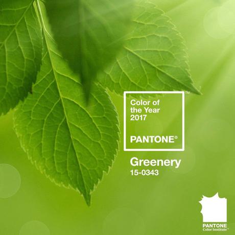 Greenery, la couleur de l’année PANTONE 2017 !